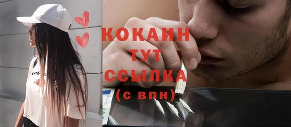 эйфоретик Арсеньев
