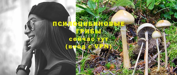 молекула духа Армянск