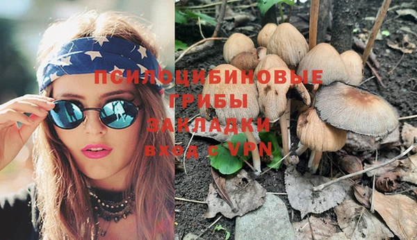 2c-b Михайловка