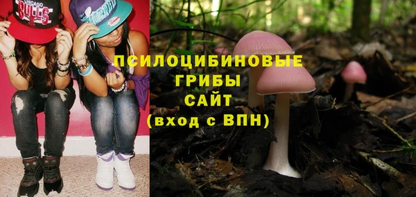 бошки Аркадак