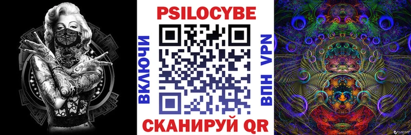 Псилоцибиновые грибы Cubensis  Ясногорск 